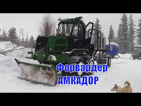 Видео: Форвардер АМКАДОР в работе производственные работы на базе