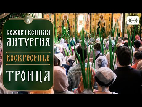 Видео: БОЖЕСТВЕННАЯ ЛИТУРГИЯ. Трансляция 4 июня (воскресенье) в 9:00