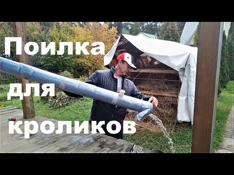 Видео: Зимняя поилка для кролика Запас на пять дней