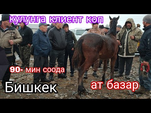 Видео: 1-НОЯБРЬ КАТТУУ СОДА БОЛДУ ЖАМГЫРДА БИШКЕК СОКУЛУК ЖЫЛКЫ БАЗАР 