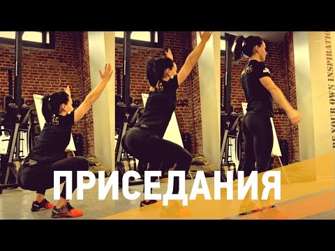Видео: Как правильно приседать? - ARMA SPORT