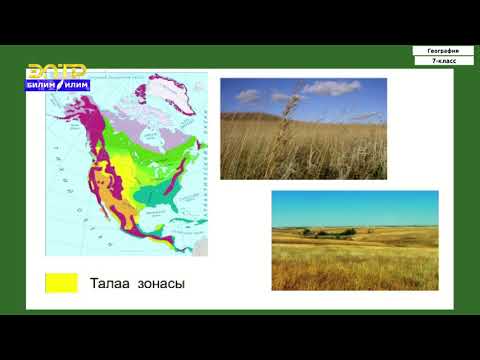 Видео: 7-класс | География  | Түндүк Американын жаратылыш зоналары