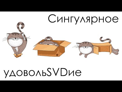 Видео: Сингулярное удовольSVDие