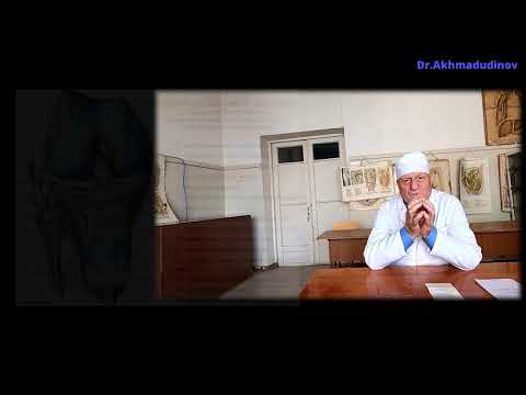 Видео: Топография нижней конечности. часть 3 (область колена) Проф. Ахмадудинов М.Г.