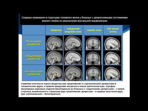 Видео: Соколов А.В. «Функциональная МРТ в оценке когнитивных функций»