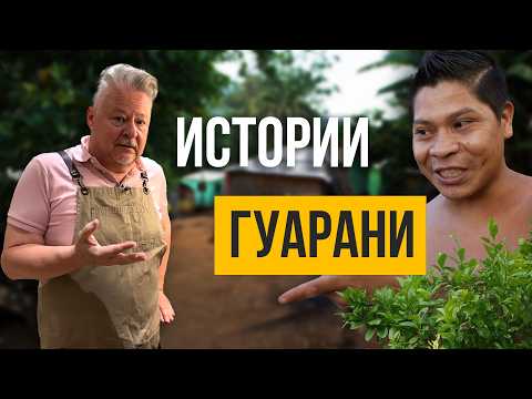 Видео: Как приготовить зеленый праздничный суп Позоле Верде?
