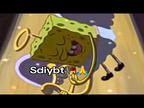 Видео: Идиоты смеются над неудачными роликами в Instagram 2