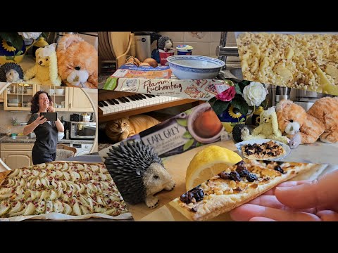 Видео: Французские тарты от Аллочки 🦔🐇😻🍕😘