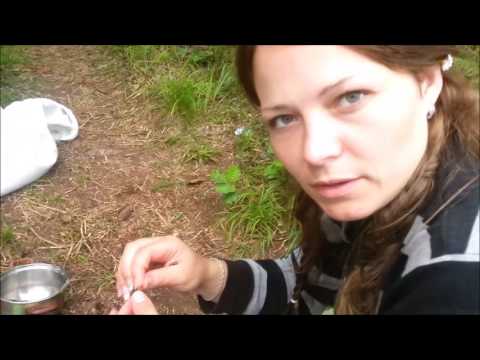 Видео: Семейная Рыбалка Десногорск 13.08.2016