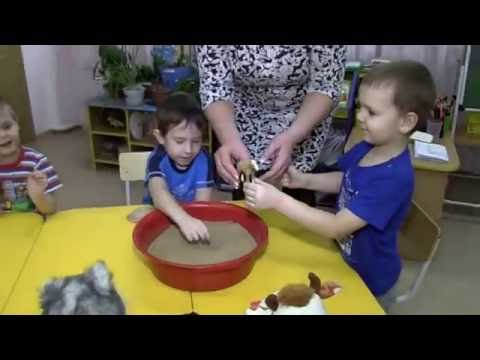 Видео: Ознакомление с окружающим миром и развитию речи  «Домашние животные» часть 1