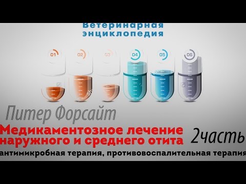 Видео: Лечение наружного и среднего отита. Антимикробная терапия, противовоспалительная терапия