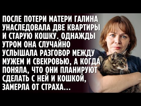 Видео: Галина унаследовала две квартиры и старую кошку. А муж со свекровью решились на подлость