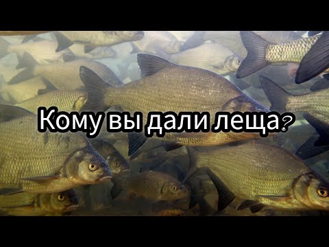 Видео: 🔮Кому вы дали леща?🪃#магия#враги#прорицание
