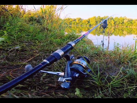 Видео: ЧУДО пруд с закалдованной рыбой! Самая простая рыбалка на горох. Рыбалка 2021