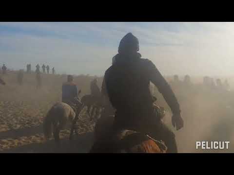 Видео: Мадинят Хожаауыл