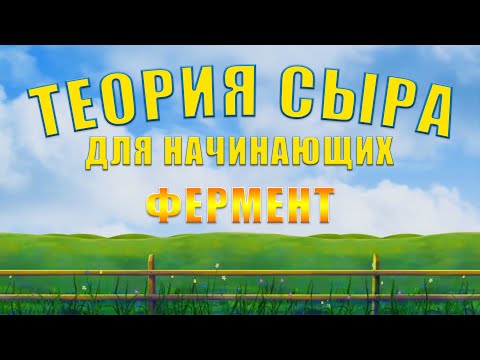 Видео: ТЕОРИЯ СЫРА ДЛЯ НАЧИНАЮЩИХ - ФЕРМЕНТ
