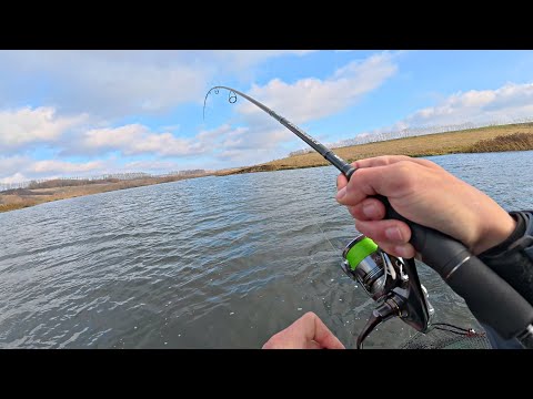 Видео: С ТАКИМ ОКУНЕМ И ЩУКА НЕ НУЖНА! Рыбалка на осенний спиннинг.