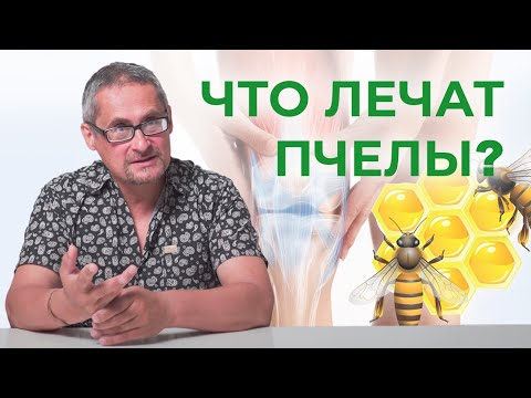 Видео: ЧТО ЛЕЧАТ ПЧЕЛЫ? Апитерапия, пчелоужаливание.