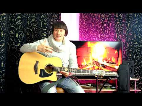 Видео: Обзор трансакустической гитары Fiesta SPACE