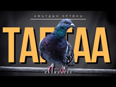 Видео: Тагтаа - АМЬТДЫН ЕРТӨНЦ