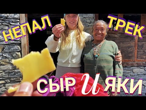 Видео: АННАПУРНА ТРЕК ДЕНЬ 5. ЧТО УНИКАЛЬНОГО на ВЫСОТЕ 3500м ?! Мастер Рэм Непал 2023 г.