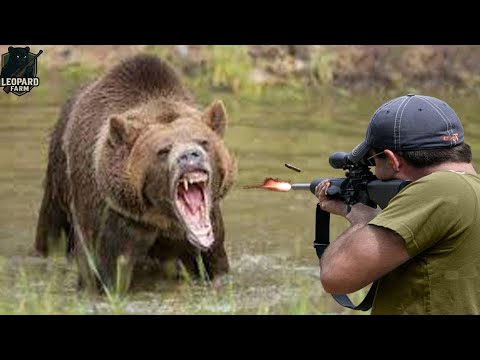 Видео: Охота на медведей, нападающих на фермы, с винтовкой 👍😍🔥 Часть 2
