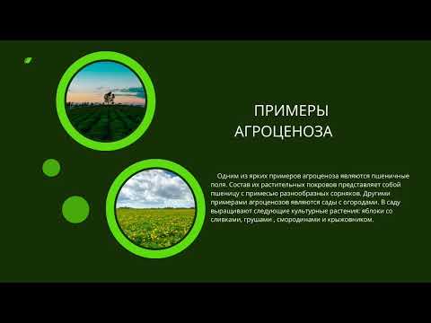 Видео: агроценоз