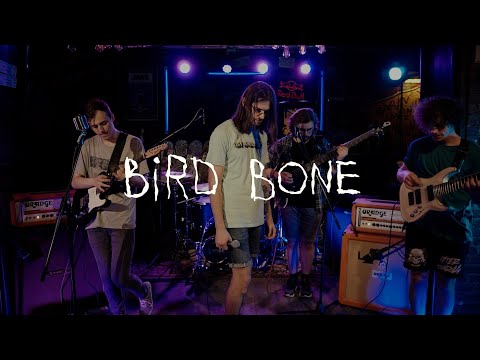 Видео: Bird Bone "НА СПОТЕ"