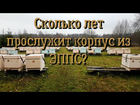 Видео: Срок службы улья из ЭППС.