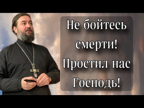Видео: Когда грешники хотят рассмешить Бога. Отец Андрей Ткачёв