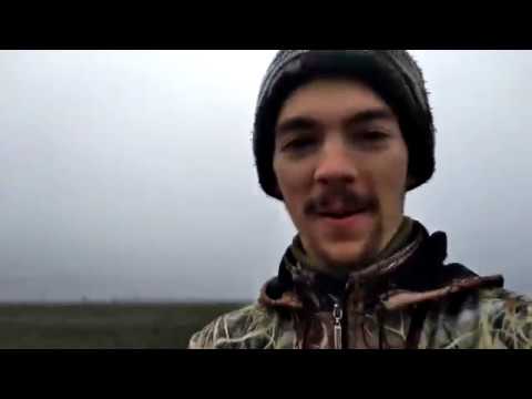 Видео: Заяц в трубе - ( Уникальный случай на охоте)