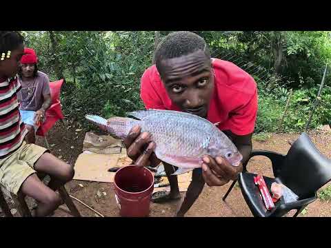 Видео: Охота на мелководье за ​​крупной рыбой и приготовление ее вместе с семьей