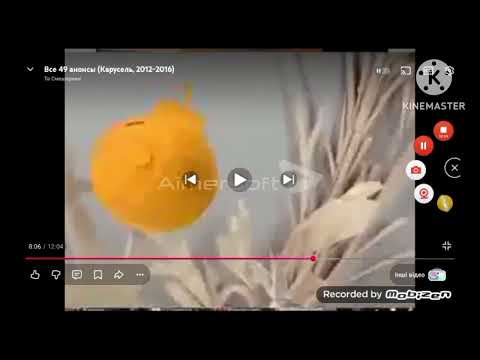 Видео: Карусель барбарики