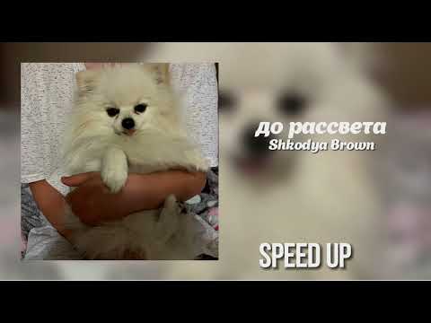 Видео: Сати Казанова - до рассвета [ speed up ]