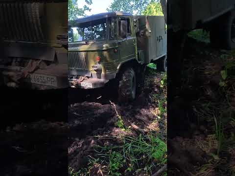Видео: Газ 66 в болоті!! #automobile #mudranner #offroad #газ66
