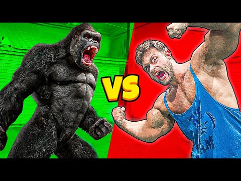 Видео: Самый Сильный Человек В мире VS Злая Горилла