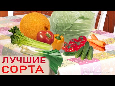 Видео: Что мы сажаем в этом году?