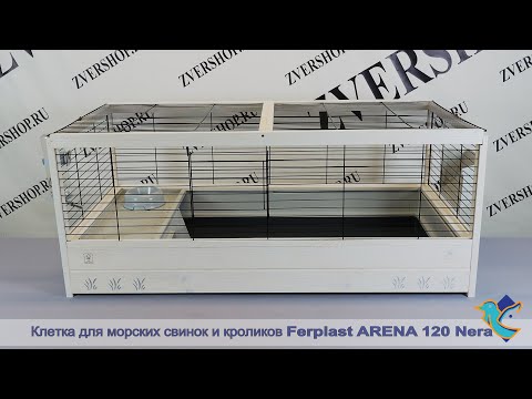 Видео: Клетка Arena 120 Nera для морских свинок и кроликов Ferplast