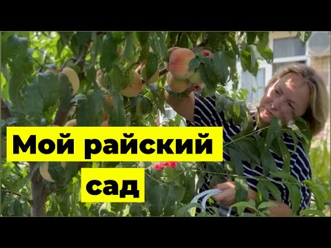 Видео: Прошло ПЯТь лет после нашего переезда на юг ☺️ Урожай 2025/ Заготовки/ Рецеты/Переезд на юг