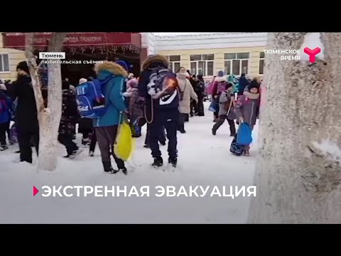Видео: Массовая эвакуация школ Тюмени