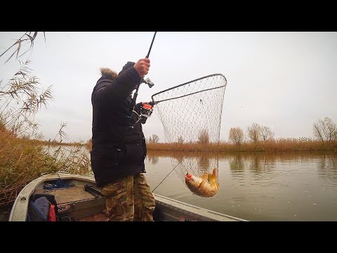 Видео: РЫБАЛКА НА САЗАНА. ДОНКА И ЧЕРВЬ, А РЫБА ЖДЁТ ЗИМУ. Зимняя рыбалка, которую ждешь весь год - скоро!