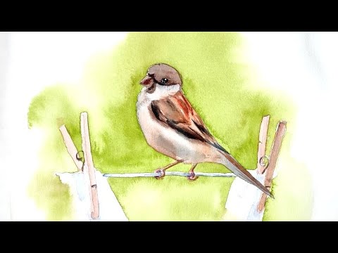 Видео: Воробей акварелью. Запись прямого эфира в моём инстаграм svekla_art от 05.04.21