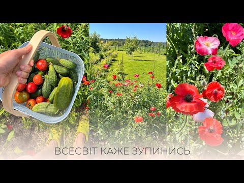 Видео: МІНУСИ ЖИТТЯ У СЕЛІ, НЕ МОЖЕМО ПРАЦЮВАТИ,ЦІЛИЙ ДЕНЬ БЕЗ ЕЛЕКТРИКИ ТА ІНТЕРНЕТУ