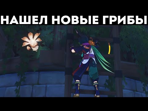 Видео: Нашёл Новые Грибы в Genshin Impact