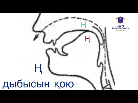 Видео: Ң дыбысын үйрету. Оңай әрі тез👌🏼
