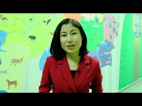 Видео: КГУ «Гимназия № 34» г. Алматы