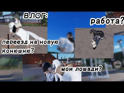 Видео: Влог от сестры//работа тренером?