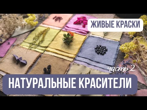 Видео: Окрашивание тканей натуральными красителями🎨| Красим ткани растениями | Эко-крашение