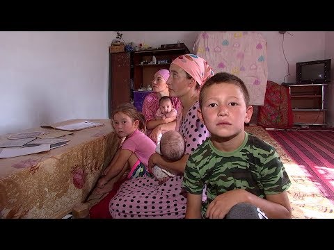 Видео: Дау-дамайсыз: 23 жылдан бері құжатсыз өмір сүріп келген кентаулықтар!