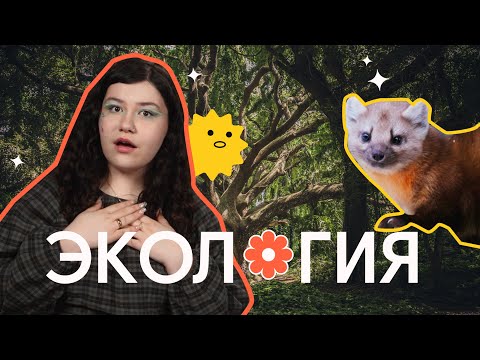 Видео: ВЫУЧИ лексику по теме ЭКОЛОГИЯ легко! - ВИДЕО на АНГЛИЙСКОМ ЯЗЫКЕ